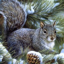 Схема вышивки «белка»