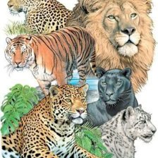 Схема вышивки «№2743682»