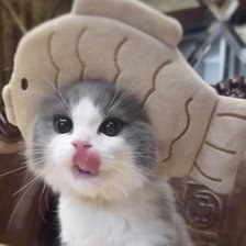 Схема вышивки «Котенок»