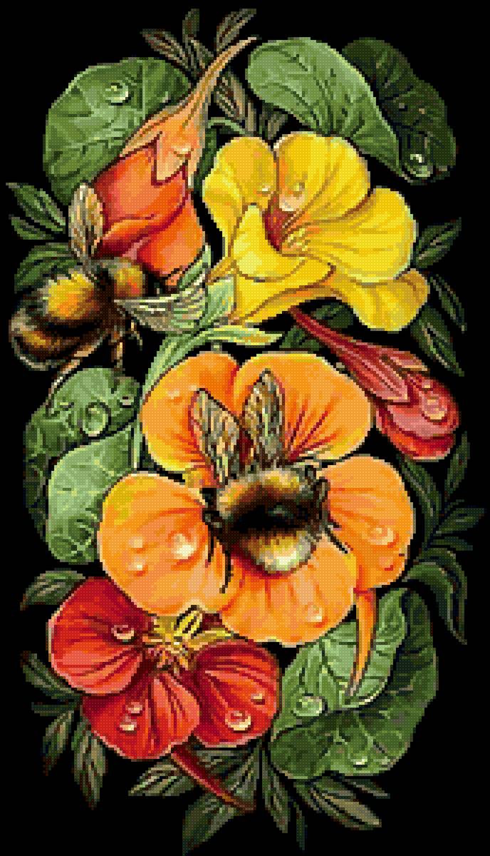 шмели на цветах - предпросмотр