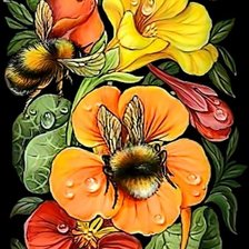 шмели на цветах