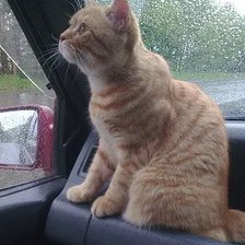 Схема вышивки «Мубыса»