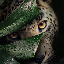 Схема вышивки «Леопард»