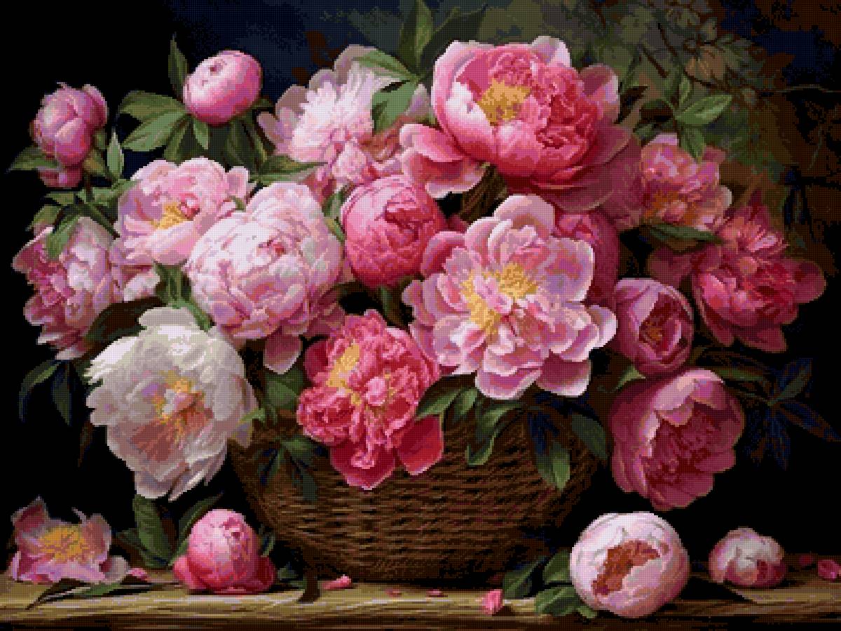 Пионы - предпросмотр