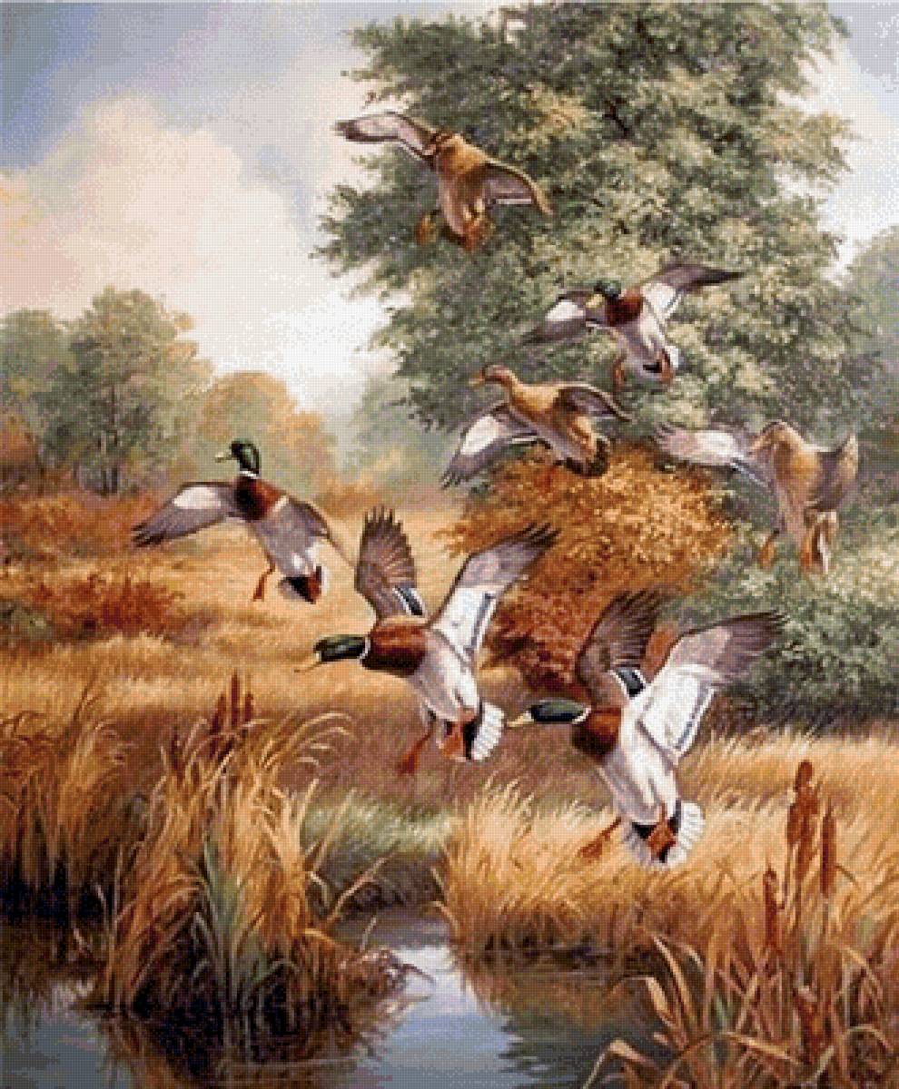 №2744843 - предпросмотр