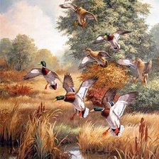 Схема вышивки «№2744843»