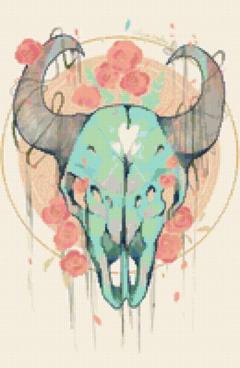 Череп - череп - предпросмотр