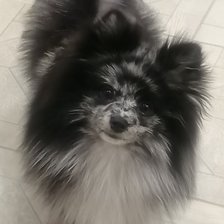 Схема вышивки «Халк»