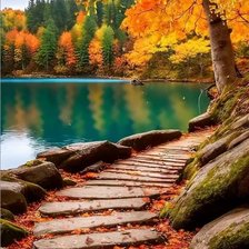 Схема вышивки «Дорожка»