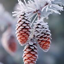 Схема вышивки «№2746801»