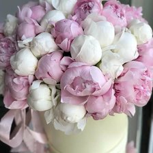 Схема вышивки «Пионы»