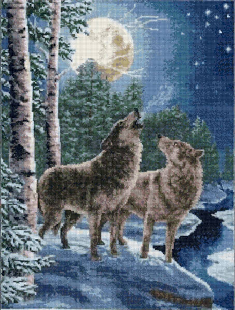 Волки зимой - волки, зима - предпросмотр