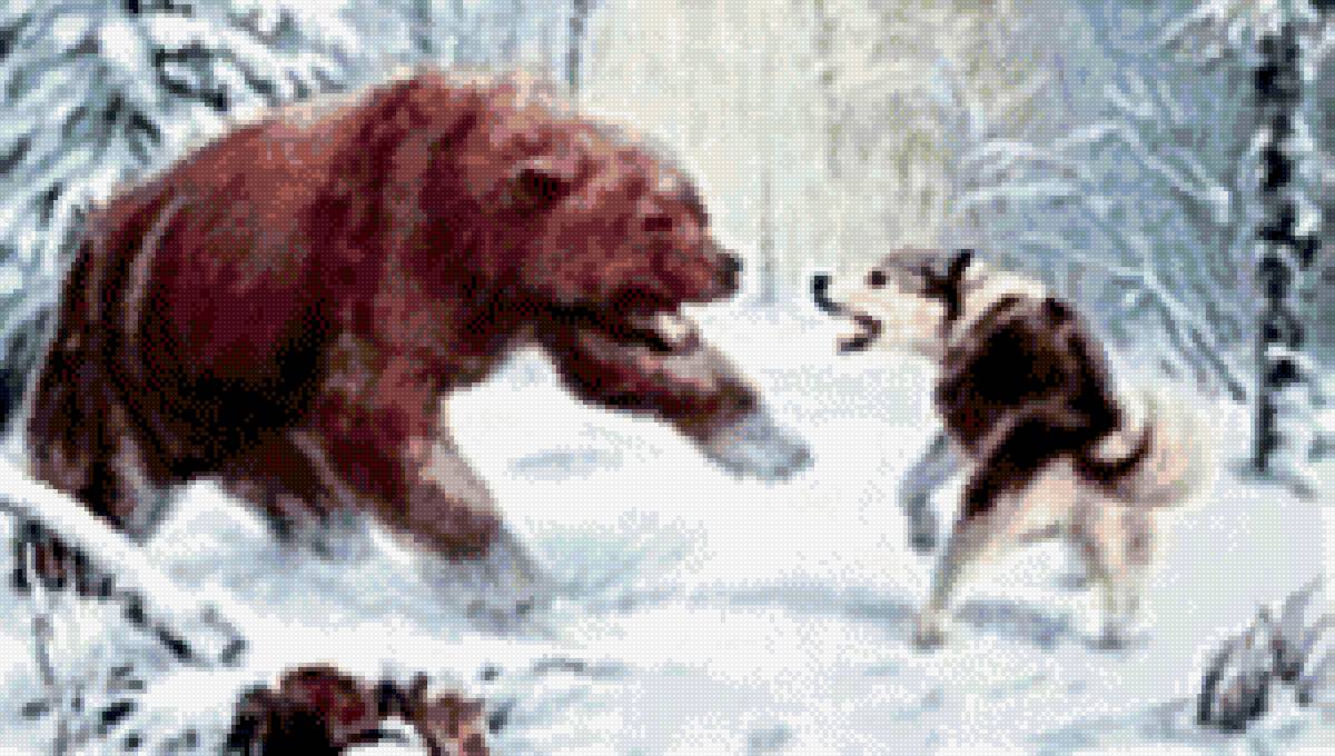 Охота на медведя - зима, собака, охота, медведь - предпросмотр