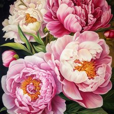 Схема вышивки «896»