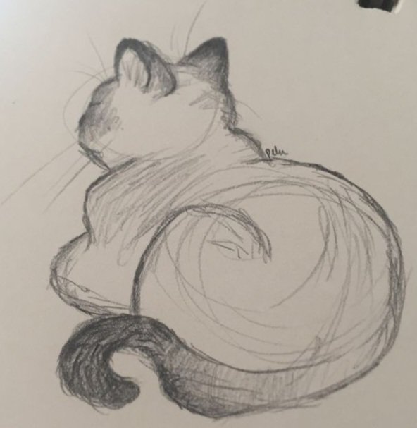 Кот - кот, скетч - оригинал