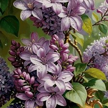 Схема вышивки «765098»