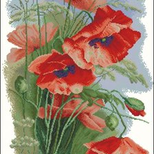 Схема вышивки «червени макове»