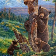 Схема вышивки «Медведи»