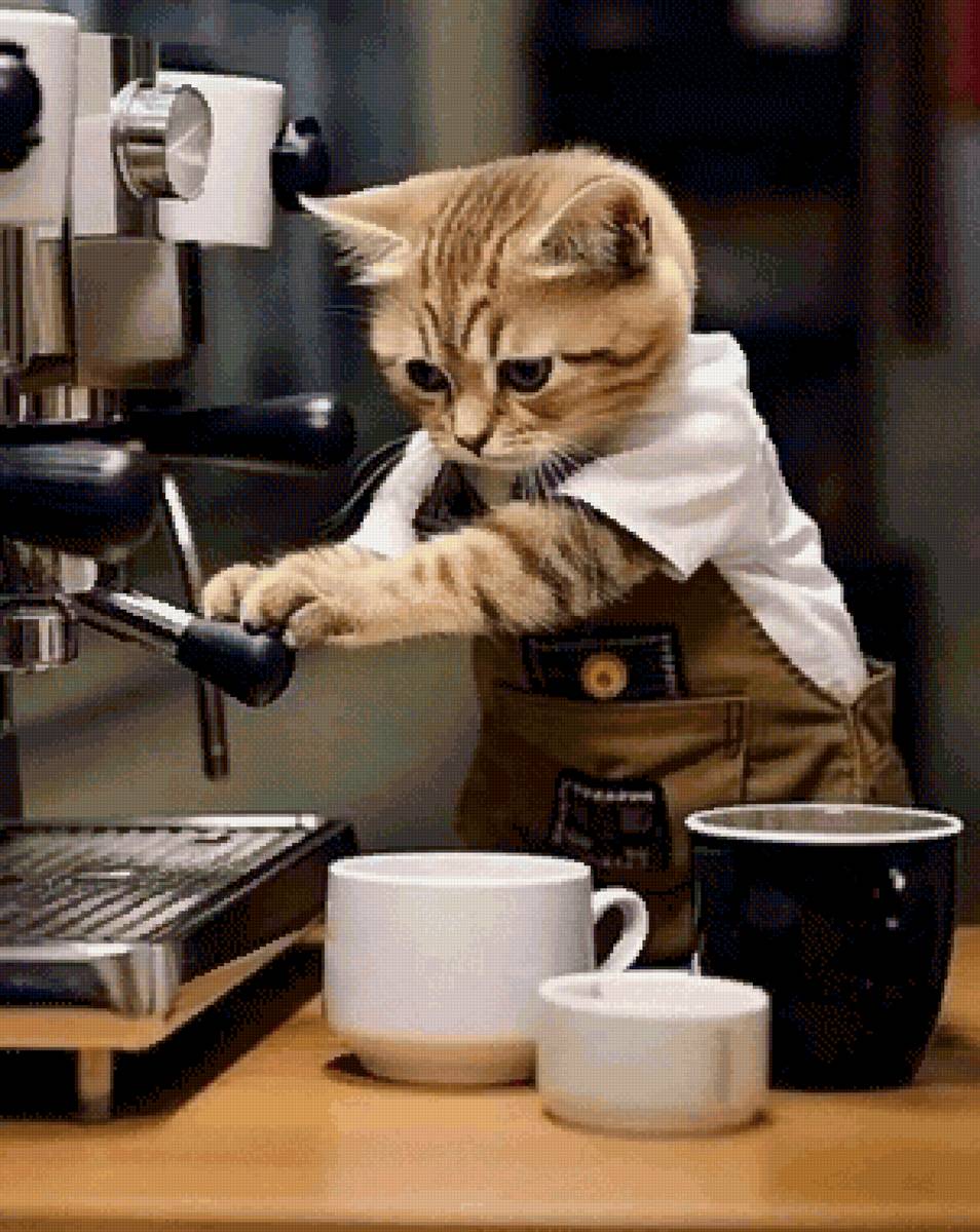 Кот - кот 🐱 - предпросмотр