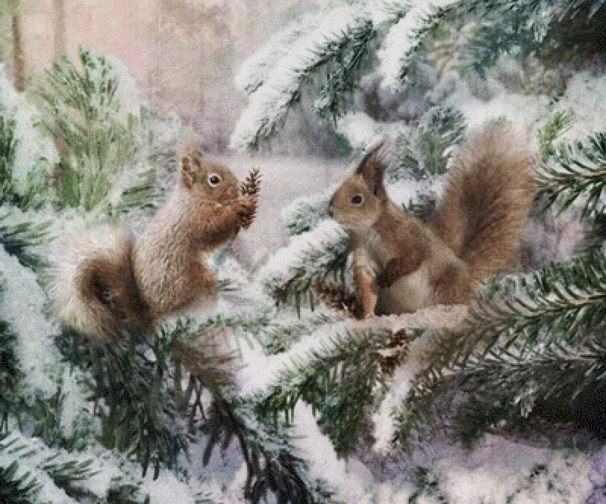 Белочки - предпросмотр