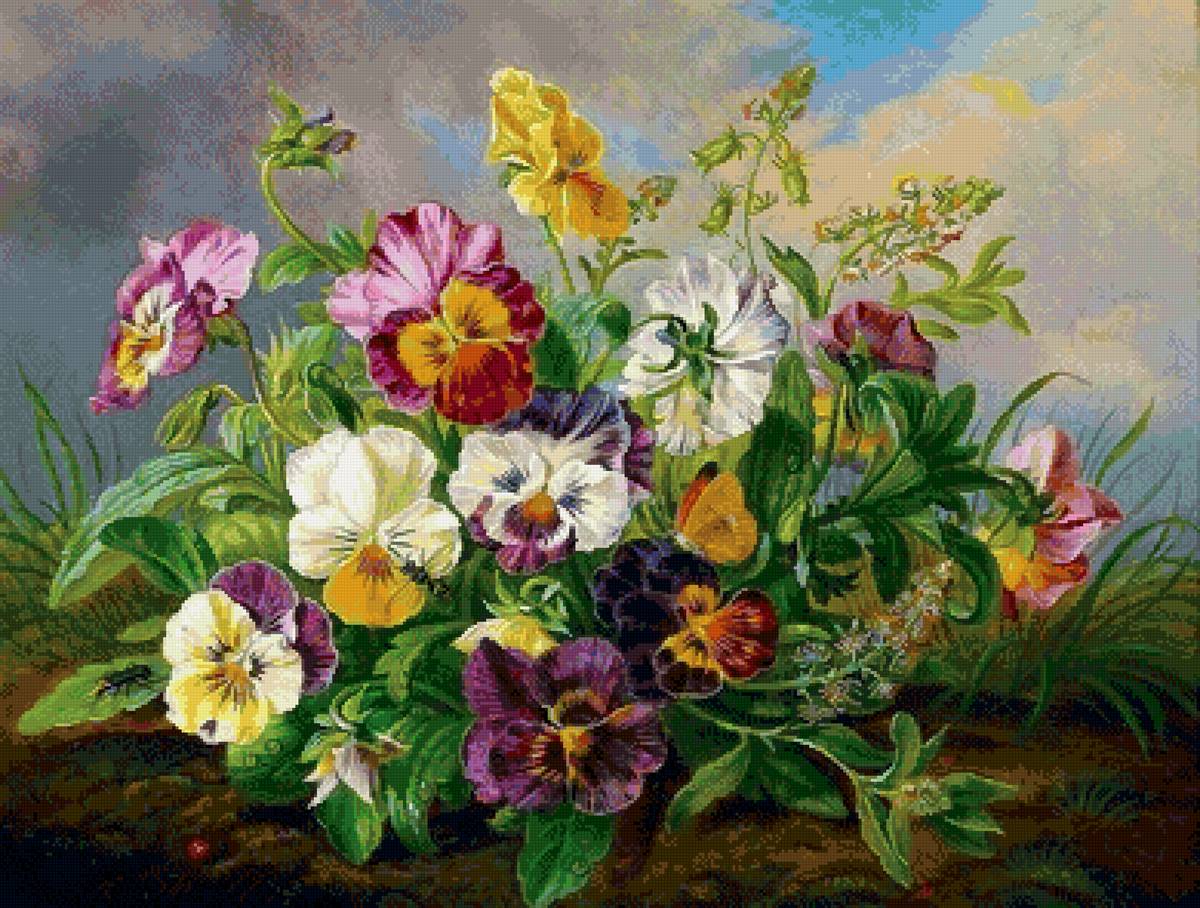 Анютины глазки - цветы - предпросмотр