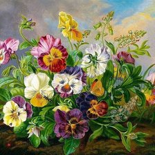 Анютины глазки