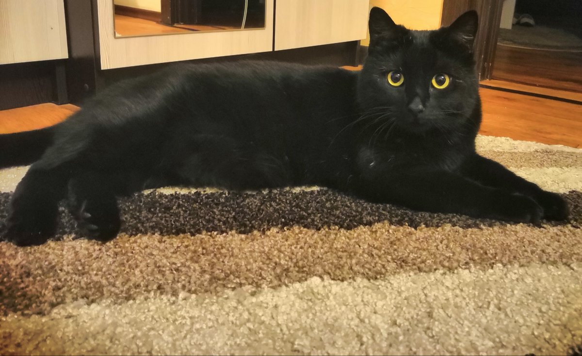 Сэр Томас - оригинал