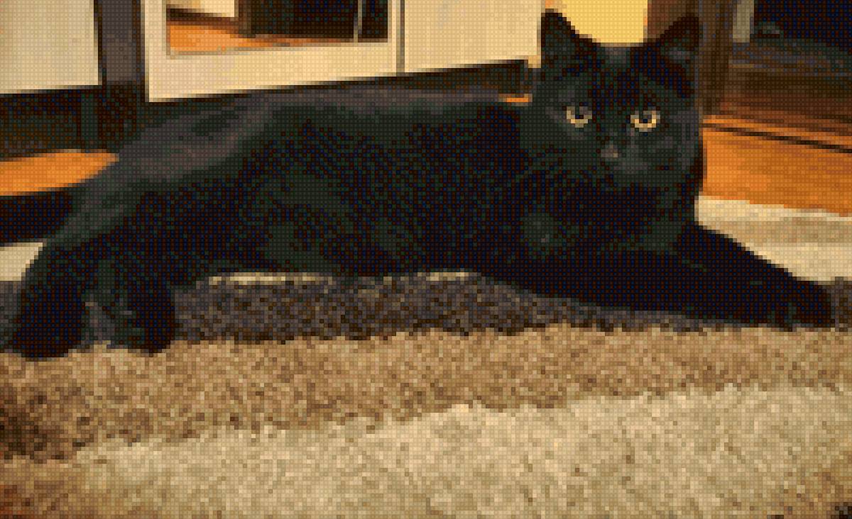 Сэр Томас - предпросмотр