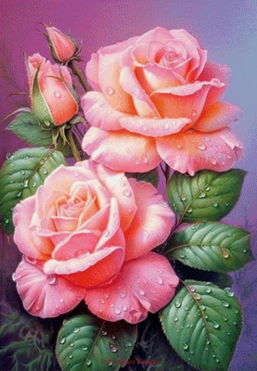 Розы - розы - предпросмотр