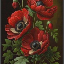 Схема вышивки «Маки»