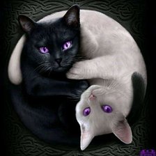 Схема вышивки «Michid opuestos»