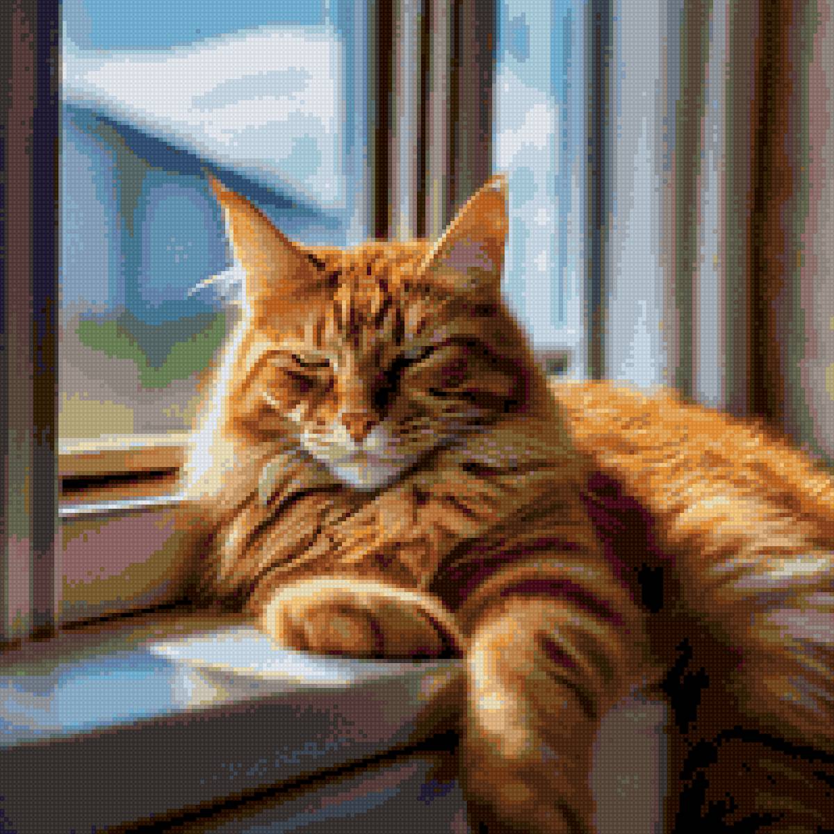 кот - кот - предпросмотр