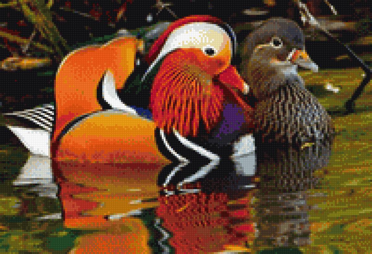 №2749681 - предпросмотр