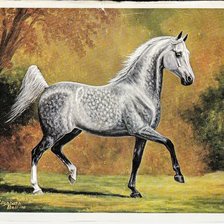 Схема вышивки «№2749896»