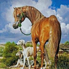 Схема вышивки «№2750194»