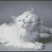 Схема вышивки «Белая кошка»