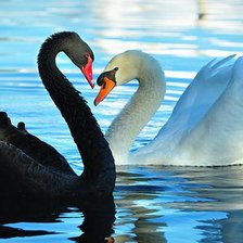 Схема вышивки «Łabędzie 2»