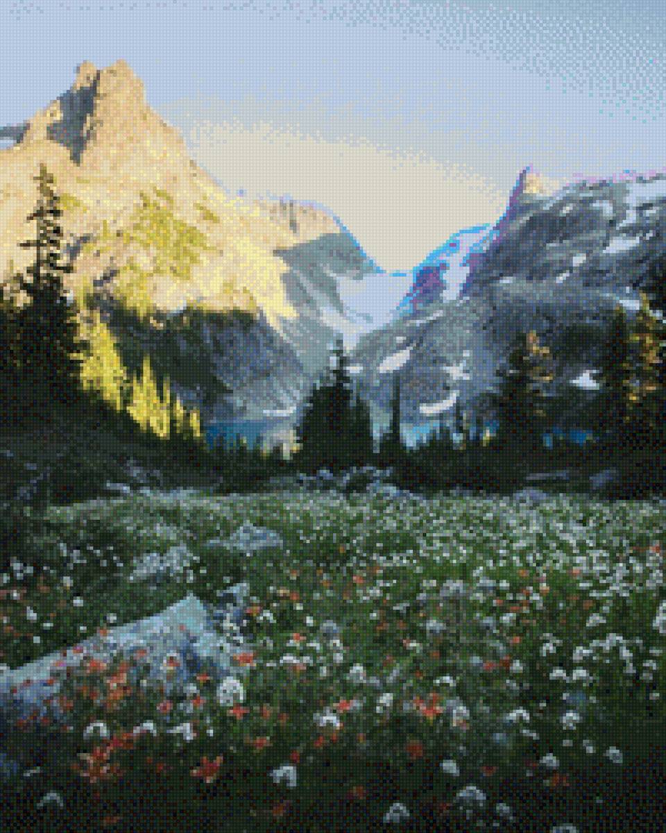 Полянка - предпросмотр