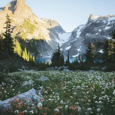 Схема вышивки «Полянка»