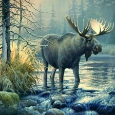 Схема вышивки «Сохатый»