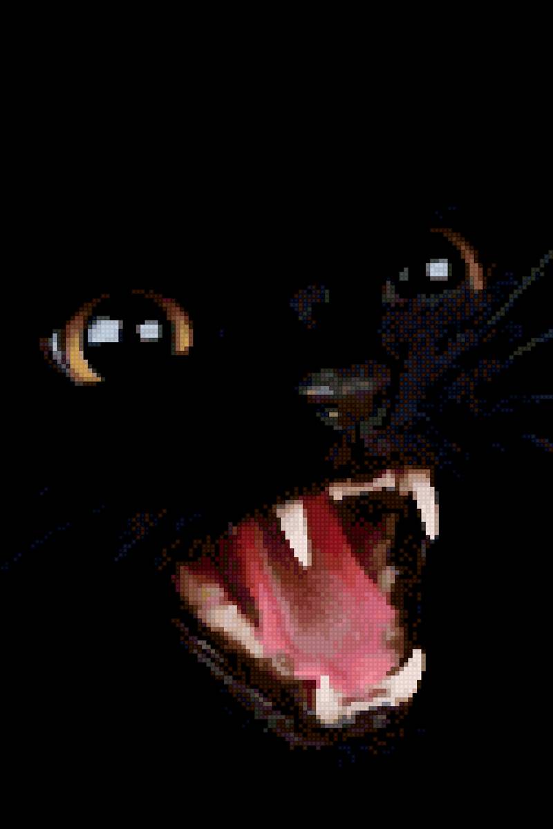 люблю черных котов - предпросмотр