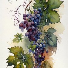 Схема вышивки «Виноград»