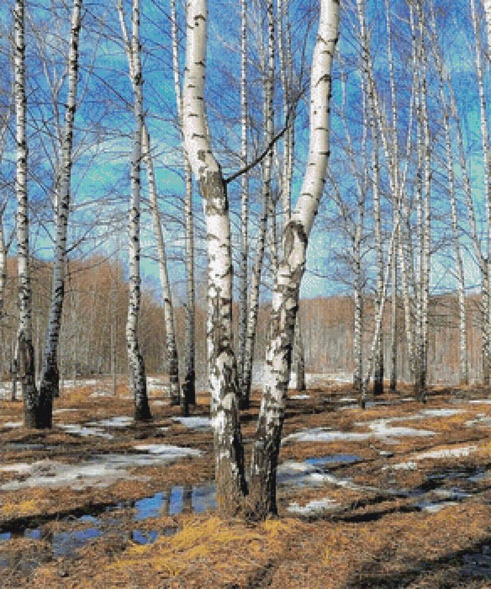 Весеннее небо - пейзаж, весна, небо, деревья - предпросмотр