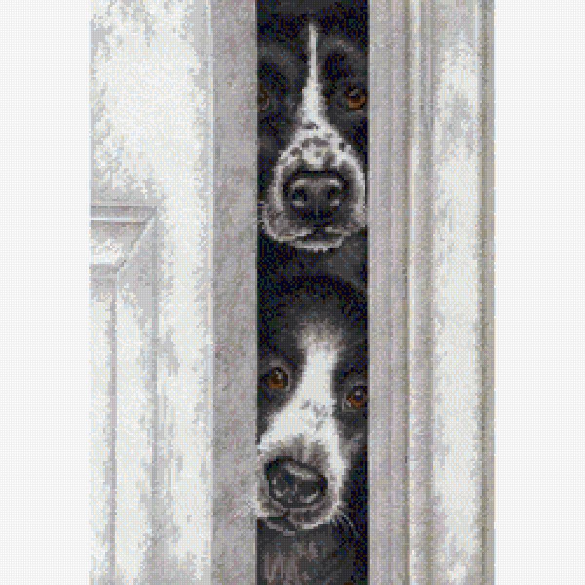 dogs peeking thourgh door - предпросмотр