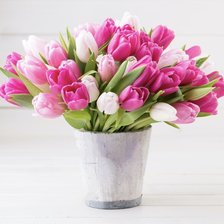 Схема вышивки «тулпани»