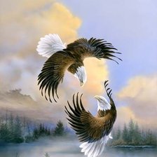 Схема вышивки «Орлы»