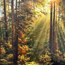 Схема вышивки «Волшебные лучи»