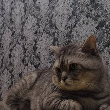 Схема вышивки «Симба»