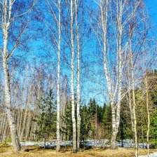 Схема вышивки «Весна»