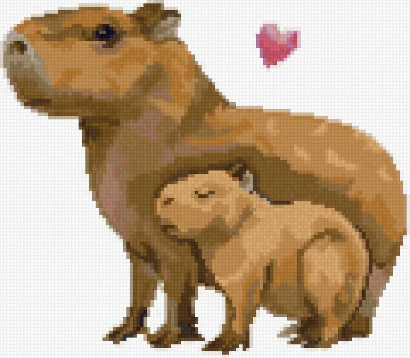 капибара - животные, капибара - предпросмотр